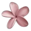 🌺