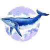 🐋