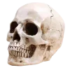 💀