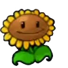 🌻