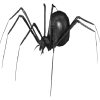 🕷
