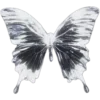 🦋
