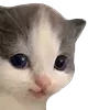 🥹