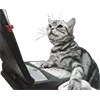 💻