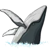 🐋