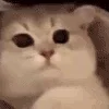 😊