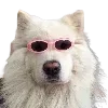 😎
