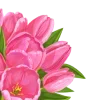 🌷