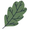 🍃