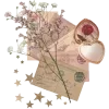 📜