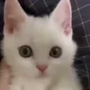 😑