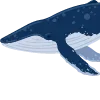 🐋