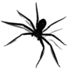 🕷️