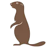 🦨