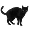 🐈‍⬛