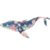 🐋