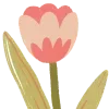 🌷