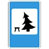 🌲