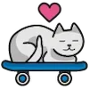 🛹