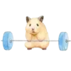🐹