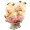 🐹