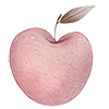 🍎