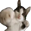 👊