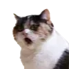 😮