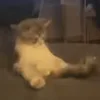 🍌