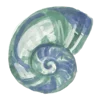🐚