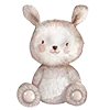 🐰
