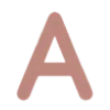 🤎