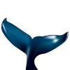 🐋