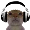 🎧