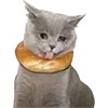 🥨