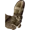 🛐