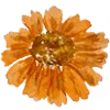 🌻