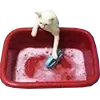 🧼