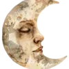 🌙