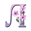 🌸