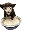 🫠