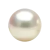 🐚