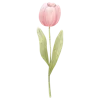 🌷