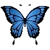🦋