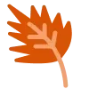 🍁