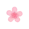 🌸