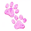 🐾