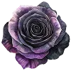💜