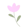 🌸