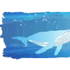 🐋